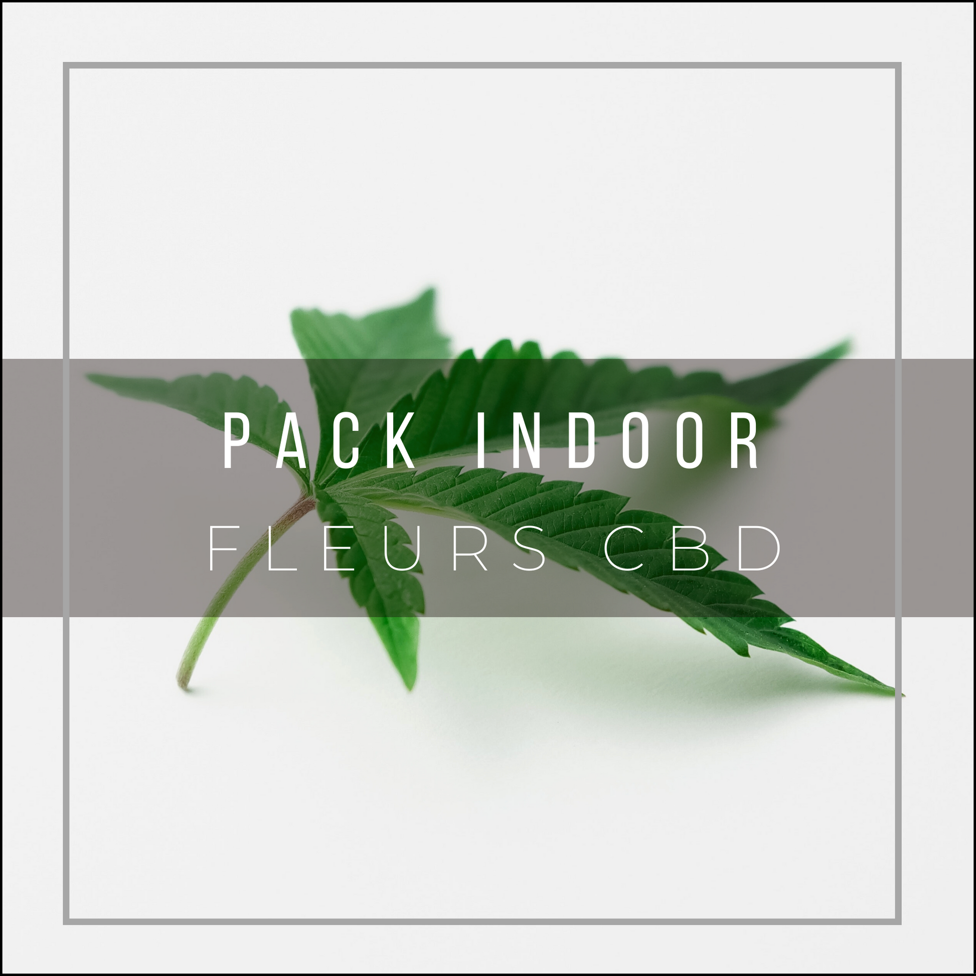 Pack Indoor Fleurs de CBD contenant des variétés Indoor et Hydroponique au meilleur prix en France